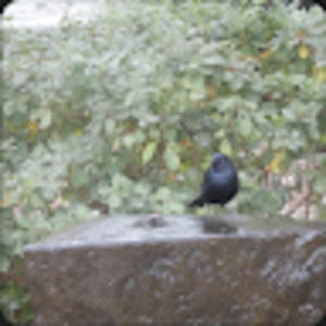 Meet your Posher, Kay